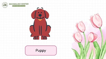 My little island 1 - Unit 2 - Phonics times #smenglishcenter #hoctienganhcungcon #hoathinhtienganh