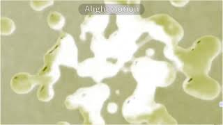 Klasky Csupo In My G Major 5-8