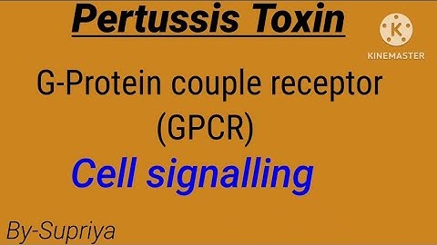 Pertussis Toxin | GPCR | Cell signalling | life science