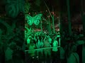 Citizen Deep @ spring fiesta #afrohouse #AfroTech #reels