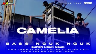 DJ BAS NGUK || DJ CAMELIA SLOW PARTY • NEW YEAR 2024• #maaudiolawang djterbarunewyear2024