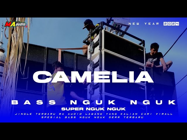 DJ BAS NGUK || DJ CAMELIA SLOW PARTY • NEW YEAR 2024• #maaudiolawang djterbarunewyear2024 class=