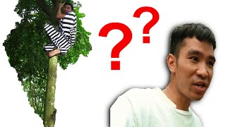 Vượt Ngục | Thoát Khỏi Rừng | Prison Break | Escape the Forest | PHD Troll screenshot 4