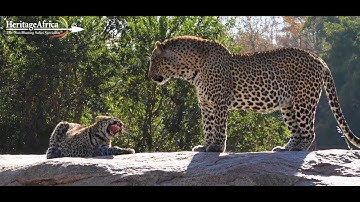 The Best African Family Safaris – All You Need To Know