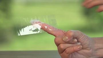 Kid Experiments: Fingerprint Dusting | English | Darwin and Newts