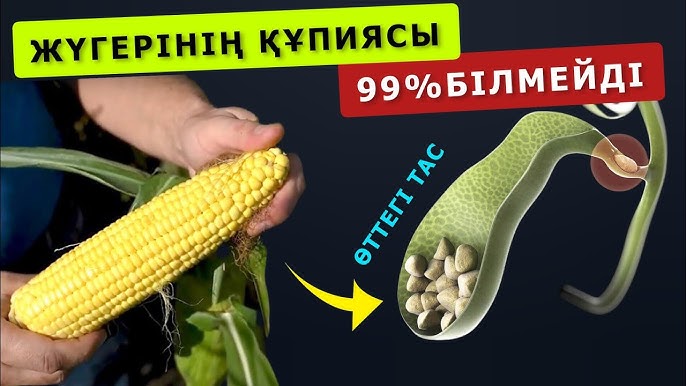 Дик тым үлкен, оған сыймайды