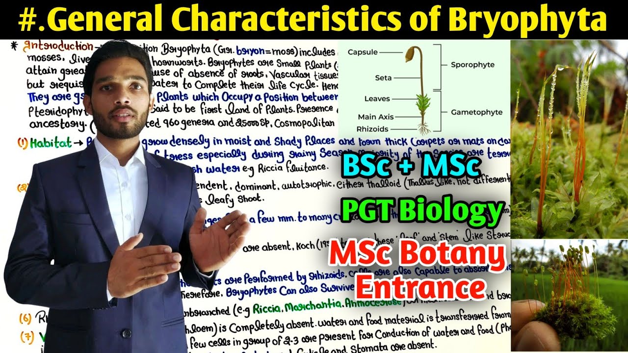 General Characteristics of Bryophytes || BSc || MSc || PGT Biology || Bryophytes notes