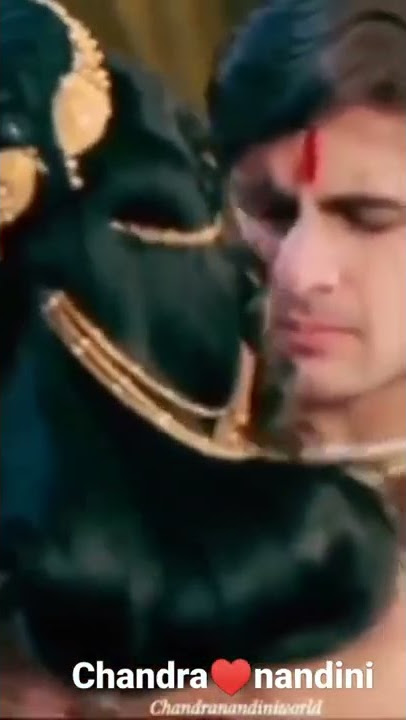 Chandra nandini #love #short video