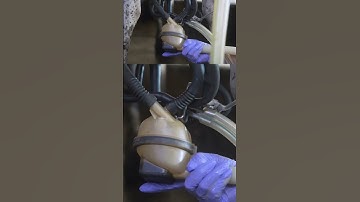 🌽 Cow milking machines #farming