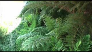 RHS Chelsea Flower Show - Easigrass™ win Silver Gilt Medal!