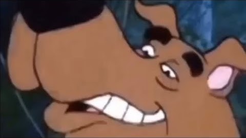 memes I have saved on my camera roll | Part 11 #memes