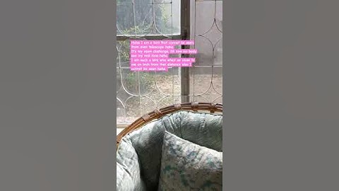 I cannot be seen even from so close, An Unresolved Matter.