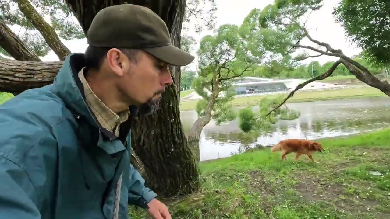 The beautiful Narva River in Estonia