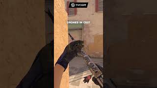 Drones In Cs2