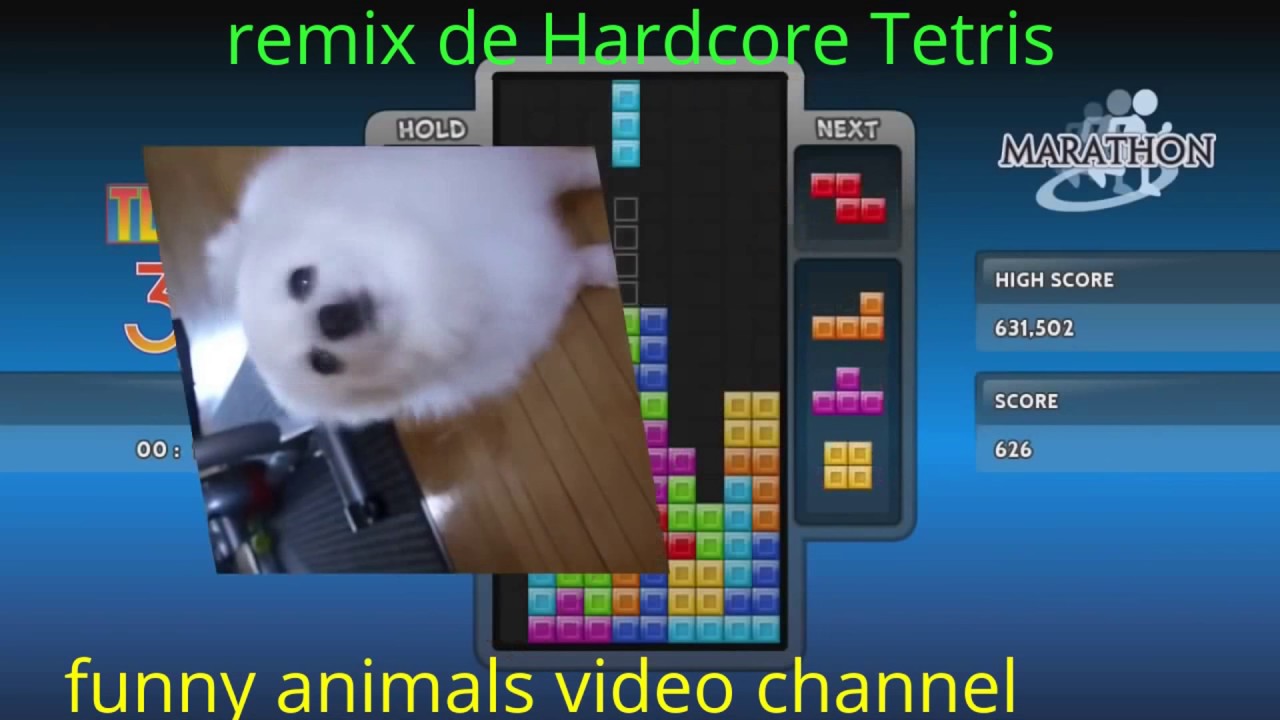 remix de  Hardcore Tetris con la perrita gabe (FUNNY ANIMALS VIDEO CHANNEL)