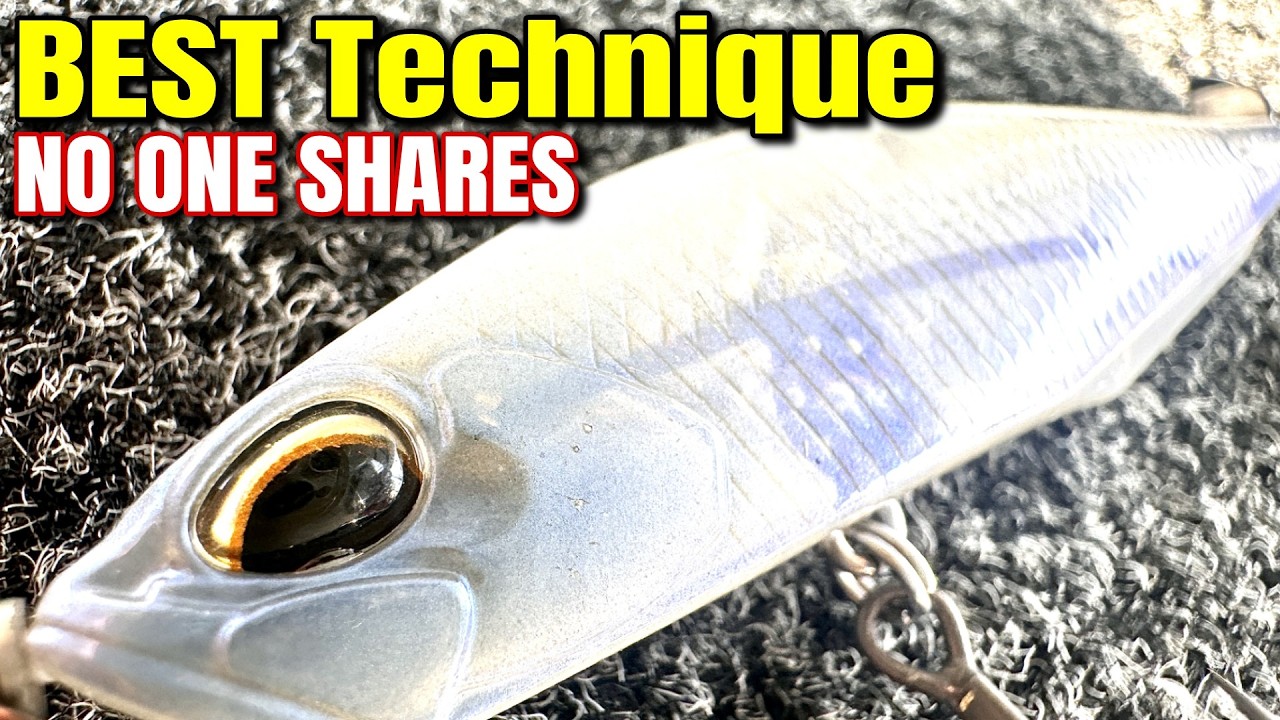 BEST Spring Bass Technique Nobody's Fishing