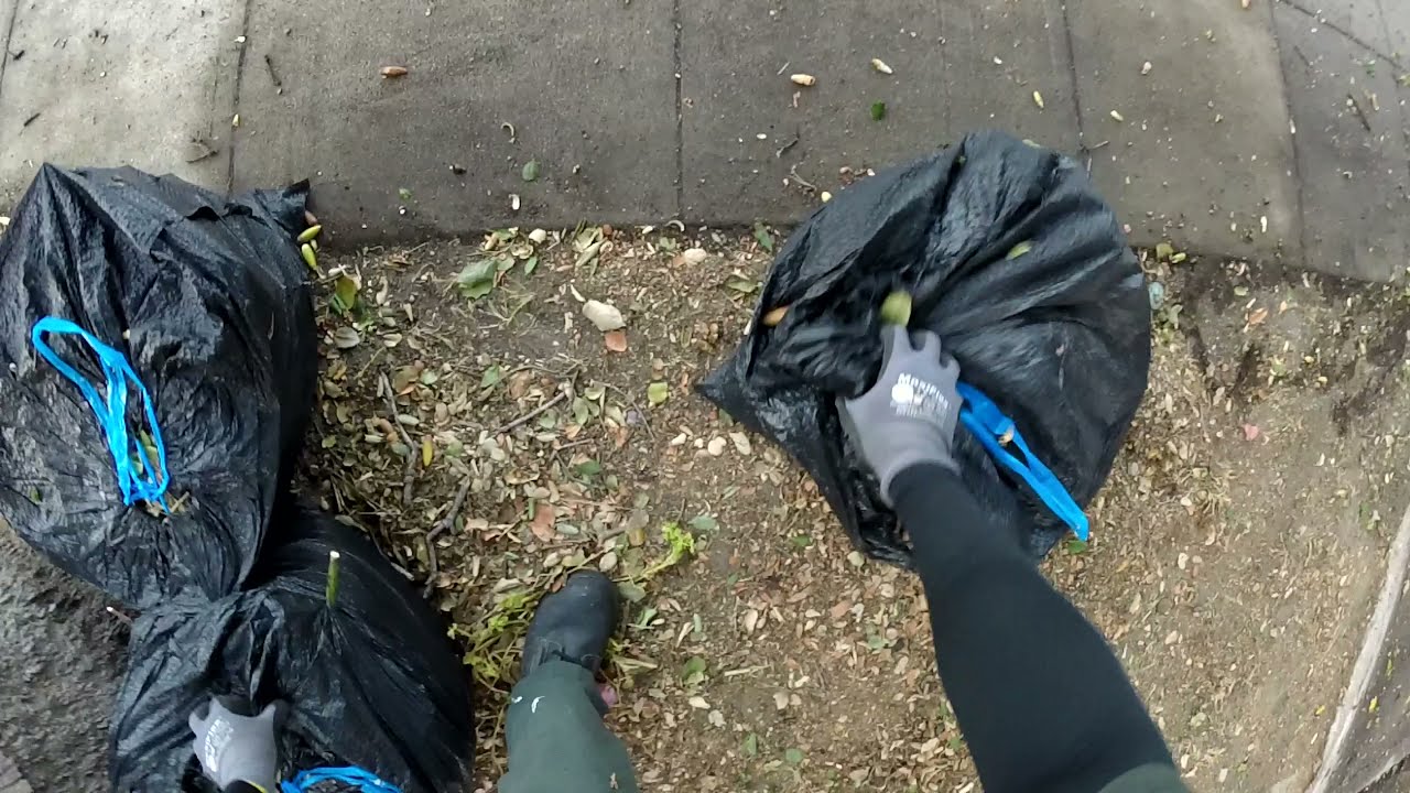 Trash Truck:  Help me pick up these bulky items! Let’s make Our City Clean!