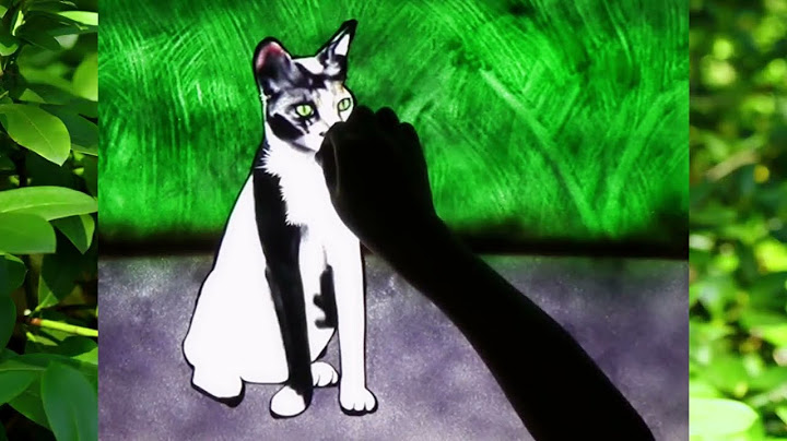 Mesmerizing Sand Art: Creating a Breathtaking Multi-Colored Cat Portrait on a Light Table