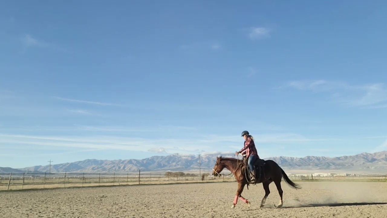 Nu Shining Lucy - Reining 