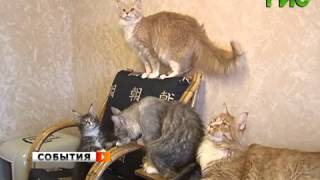 Когда размер имеет значение Когда размер имеет значение