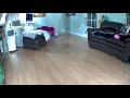 Security Camera Footage of Sphynx cat / owner’s arrival