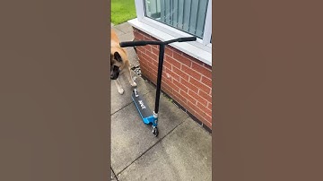 unbox and build an APEX pro scooters team package with me 🔥@ApexProScootersTV #rideapex #scooter