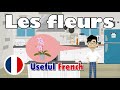 Learn useful french le magasin de fleurs  the flower shop