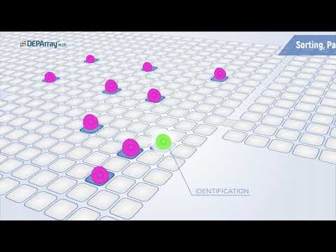 DEPArray PLUS Technology Overview - video from Silicon Biosystems