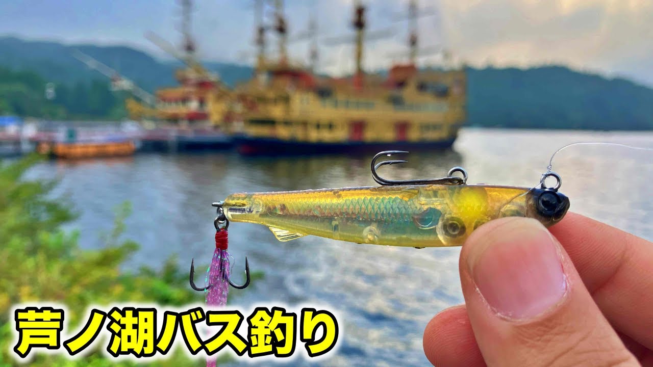 神奈川県芦ノ湖で初めてのバス釣り！ポイントをググりながらランガン【車中泊バス釣り】