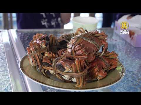 大闸蟹养殖不易 台湾业者独特虾蟹共生创新机