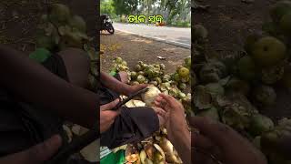 Tala Shaja Gnaa Ra Maja ।। ତାଳ ସଜ ଗାଁ ର ମଜା ।।#trending #shorts #shortsfeed #viral #viralshorts