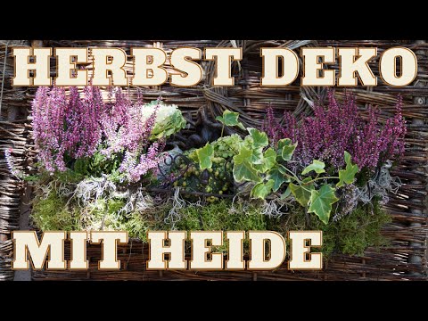 DIY Herbst Bepflanzung mit Moos und Heide | Herbst Deko Idee für Terrasse, Balkon und Garten