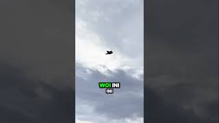 Tense Moments Kite Breaks Strong Winds Bring Disaster