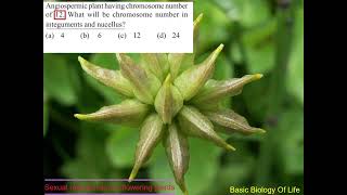 Angiospermic plant has chromosome no. 12, find chromosome in integuments #ploidylevel #pyqs