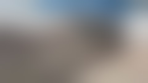 chestnut washing drying sorting machine, chestnut grading machine