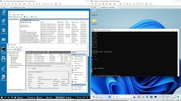 The "EventLogCrasher" 0day For Remotely Disabling Windows Event Log,  And a Free Micropatch For It