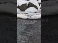 فضلا و ليس أمرا اكتب شيئا تؤجر عليه 