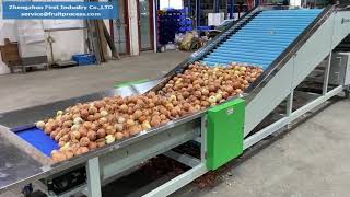 Onion grader, Onion sizer, Big capacity Onion sorter