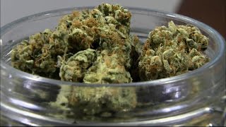 DFL Resurfaces Bill Legalizing Marijuana