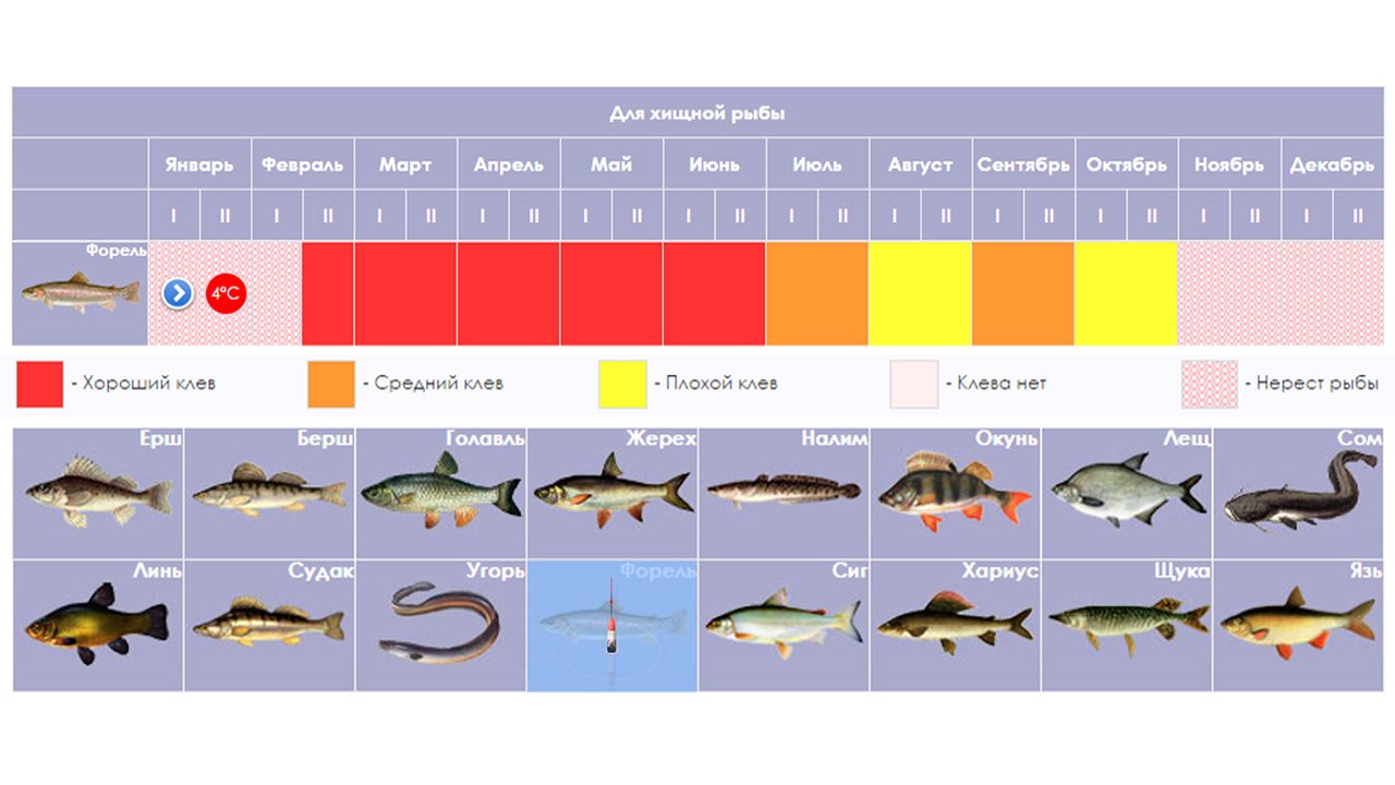 Какая рыба клюет в апреле. Таблица клева хищной рыбы. Календарь рыбака. Рыбный календарь. Календарь рыбака на хищника.