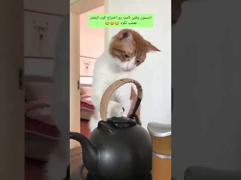 موزیک ویدیو جدید آهنگ ترند کلیپ Music Video Love Song Short New Shorts Viral Trending Story Reels