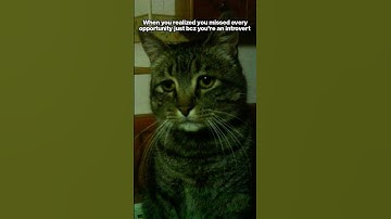 Silent struggles of the introverts...🥺 #shorts #trending #funny #viral #memes