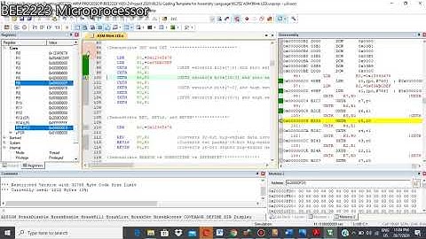 SXT and UXT Instructions for ARM CM0+