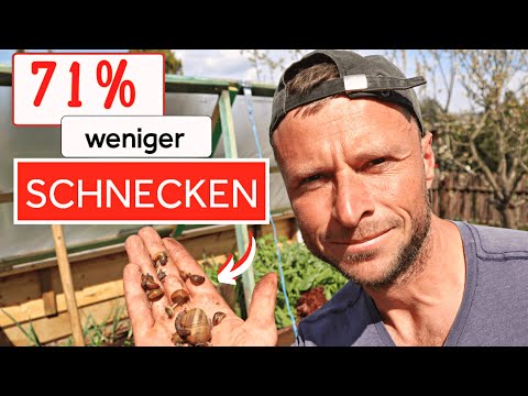 Schneckenplage JETZT verhindern❗