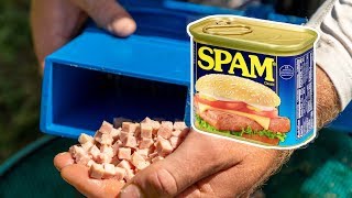 Bait Hacks | Preparing Luncheon Meat For Fishing | Jamie Hughes