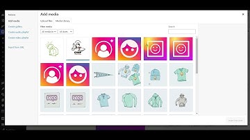 Fluent Forms Images on right side based on left side Radio Buttons