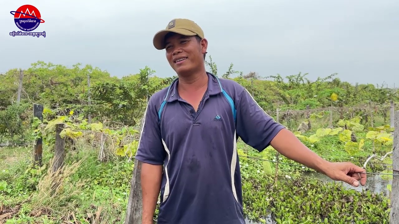 កាចិញ្ចឹមខ្យងប័រក្នុងស្រះ ជួយឱ្យលោក ចន្ទ រិទ្ធ រកប្រាក់ចំណូលបន្ថែមផ្គត់ផ្គង់គ្រួសារ