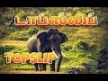 டாப் ஸ்லிப் I Top slip Wildlife Trip, Pollachi - Elephant Feeding  I Vanman Photography