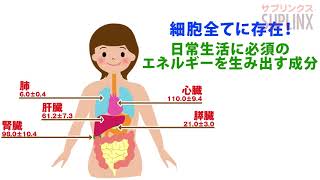 頑張る世代の活力アップや若々しい美しさをパワフルに応援します！コエンザイムQ10サプリを是非！