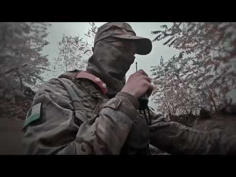 Zov Edit Assensia Lunar Vision мечта